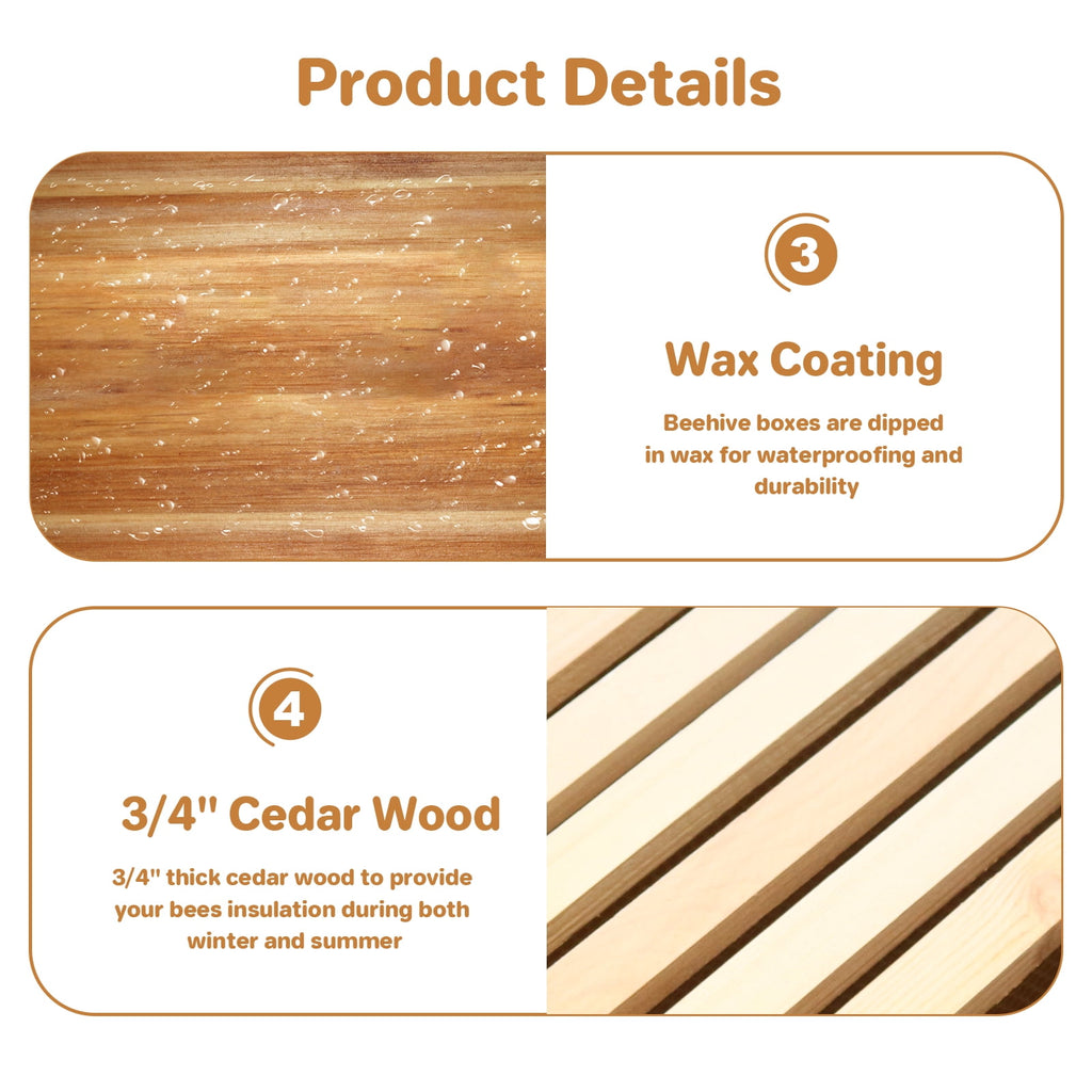Ultimate Beekeeping Starter Kit with Cedar & Beeswax | Complete 10-Fra