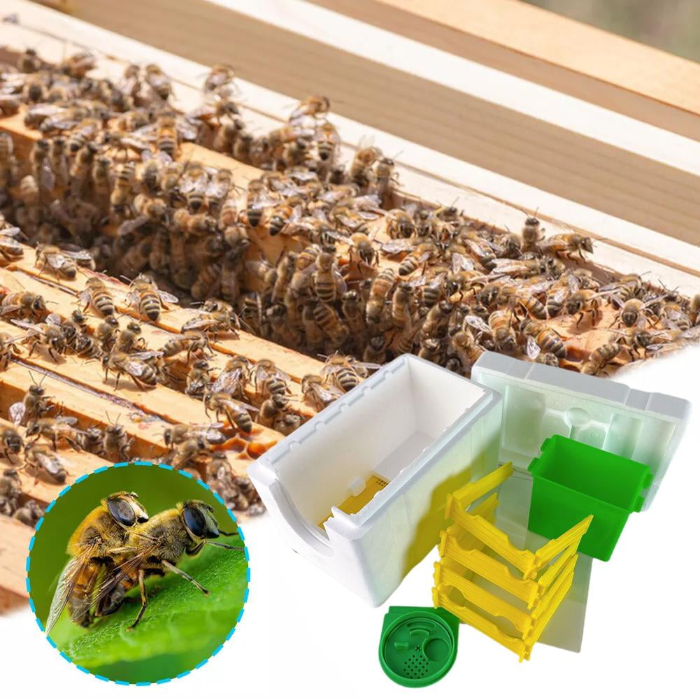QHUDLV Mini Beehive Beekeeping Box Multi-Function Bee Hive Pollination
