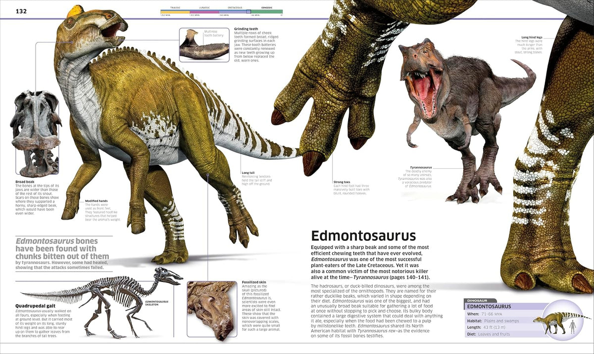 Knowledge Encyclopedia Dinosaur!
