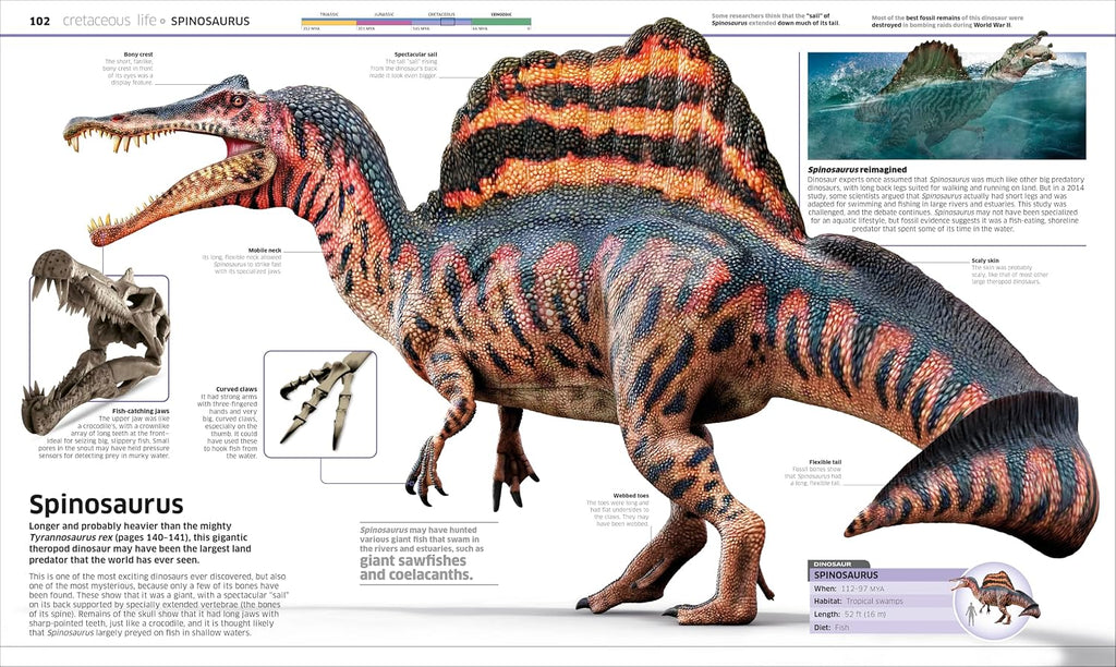 Knowledge Encyclopedia Dinosaur!