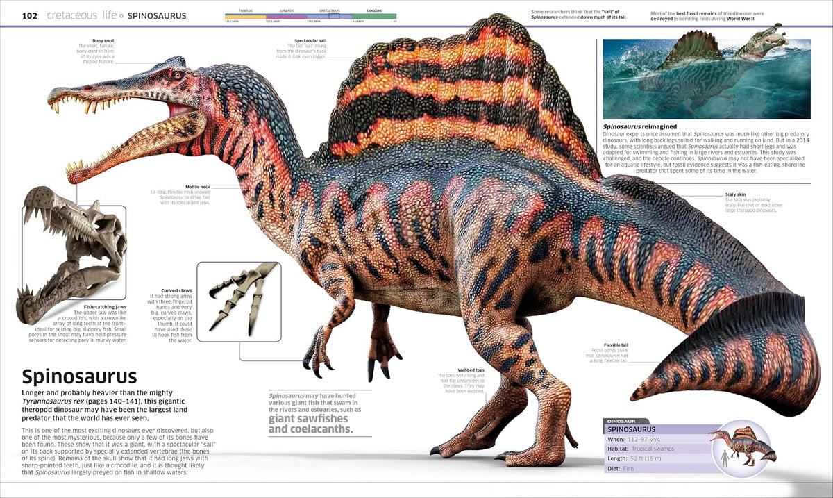 Knowledge Encyclopedia Dinosaur!
