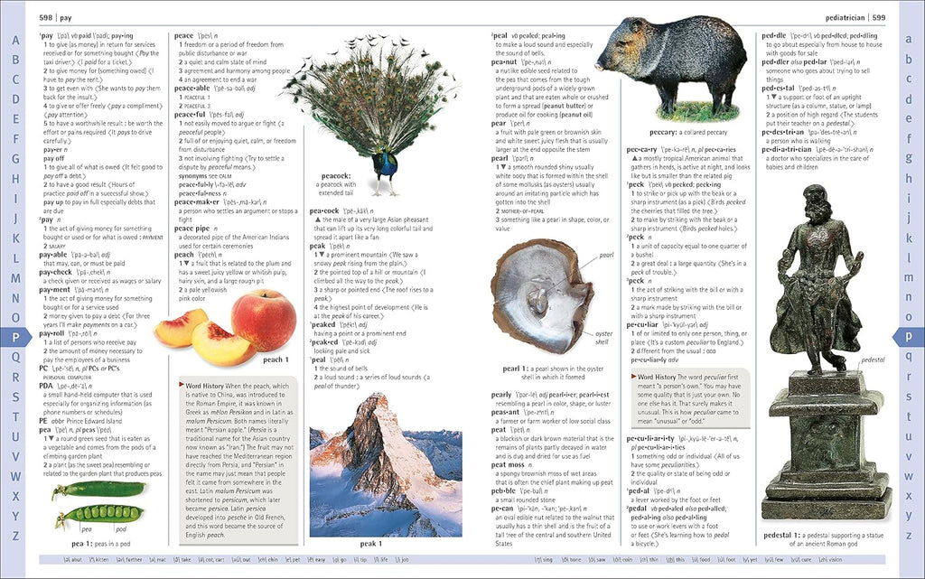 DK: Merriam-Webster Children's Dictionary (Ages 7–9)