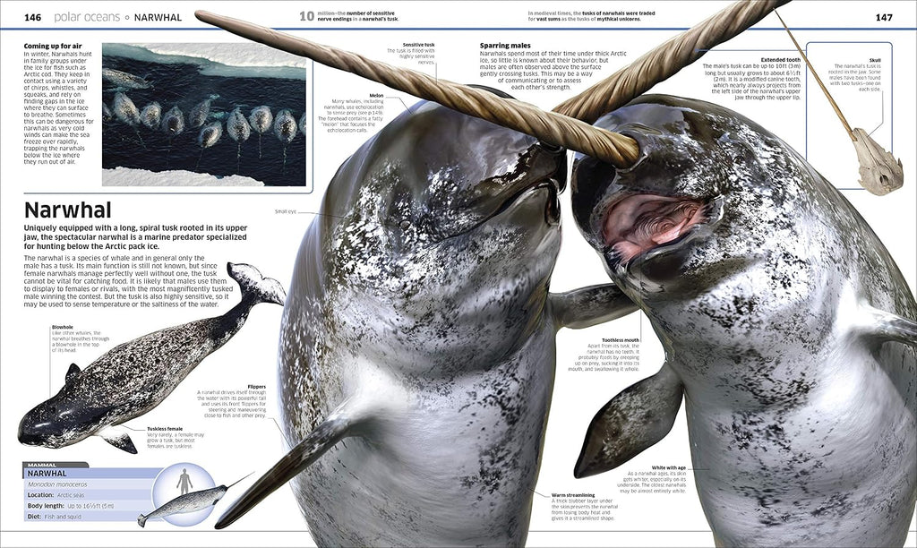 Knowledge Encyclopedia Ocean!
