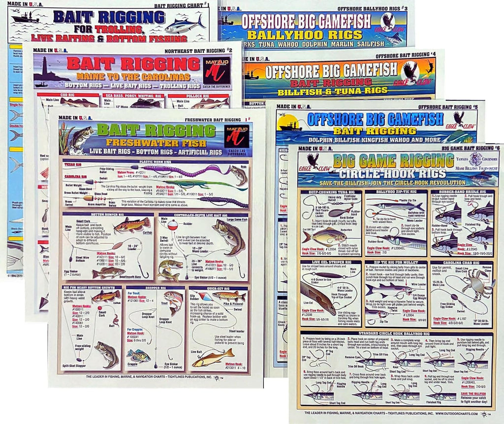 Bait Rigging Chart Set: Freshwater, Saltwater & Big Game Rigs