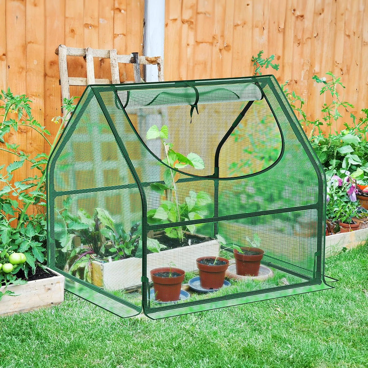 Greatbuddy Small Greenhouse, 9 Sq Ft (3 ft × 3 ft)