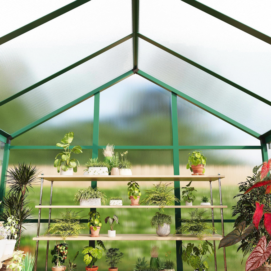 IDEALHOUSE Aluminum Polycarbonate Greenhouse (6×8 and 6×10 ft)