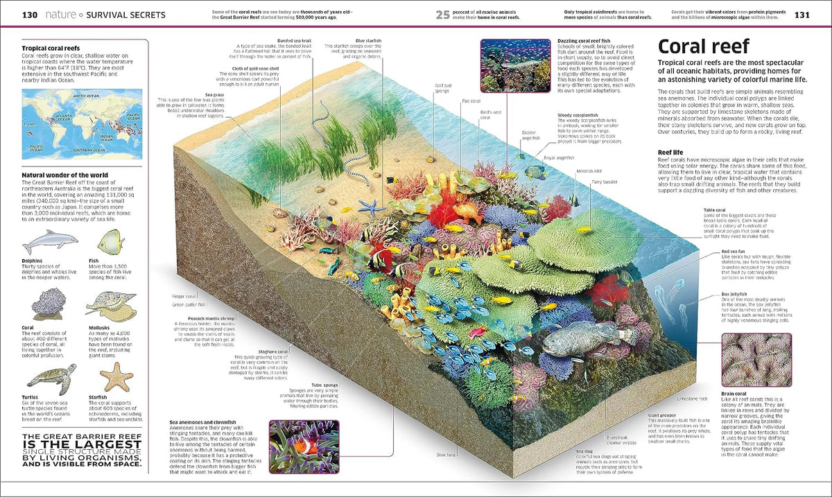 Knowledge Encyclopedia!: The World as You've Never Seen it Before