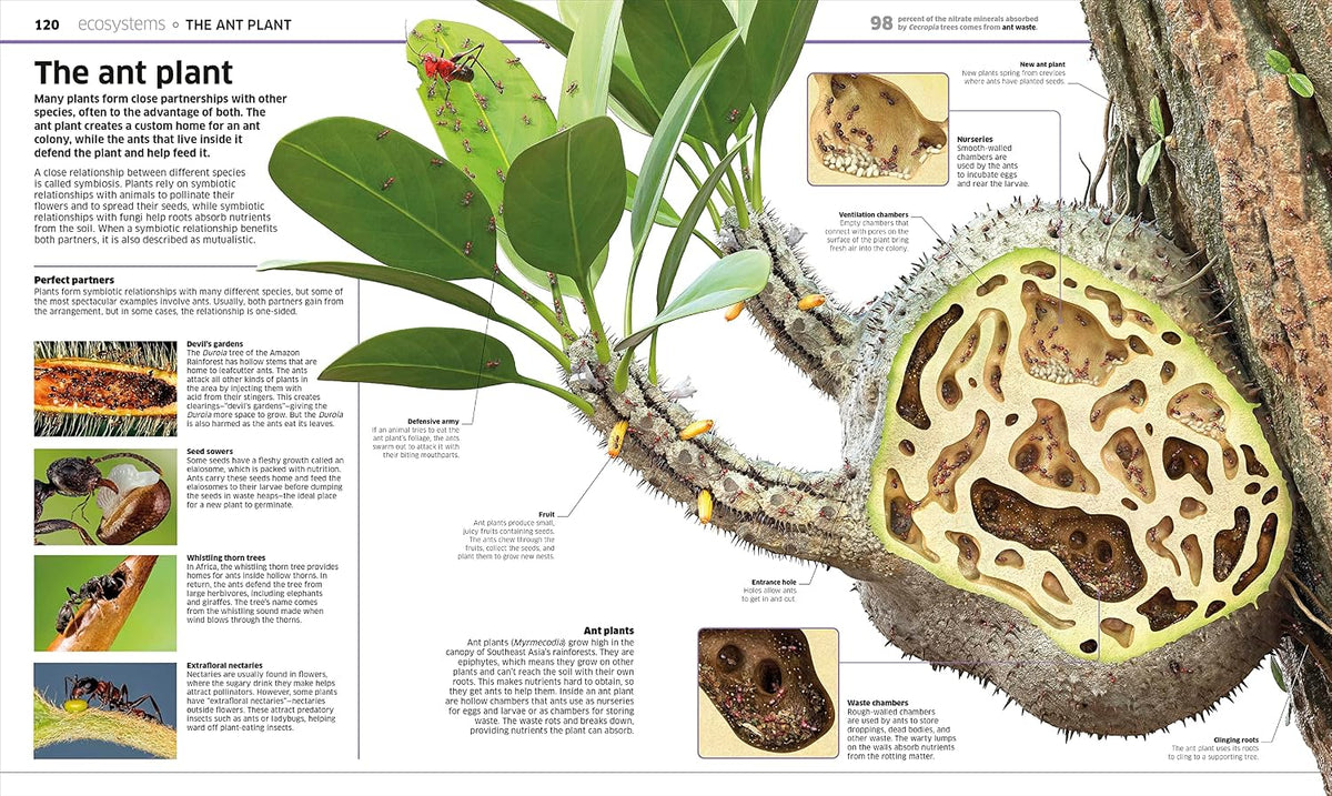 Knowledge Encyclopedia Plants and Fungi!: Our Growing World as You've Never Seen It Before