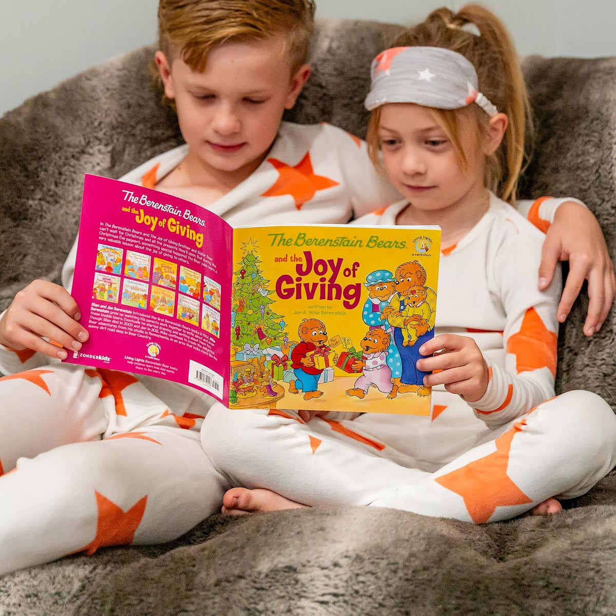 The Berenstain Bears and the Joy of Giving: The True Meaning of Christmas