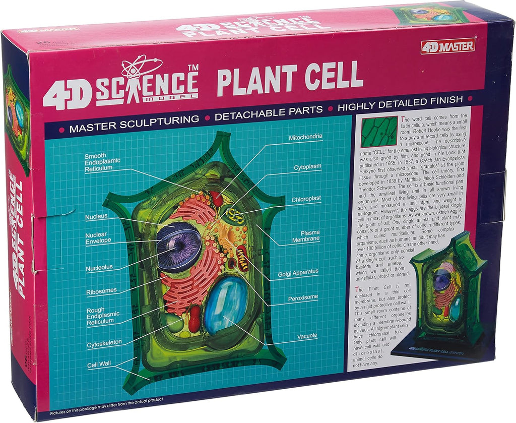 Famemaster: 4D-Science Plant Cell Anatomy Model (Ages 8+)