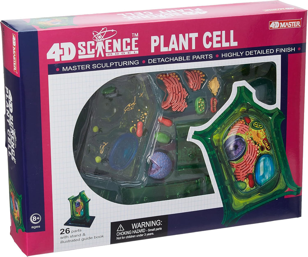 Famemaster: 4D-Science Plant Cell Anatomy Model (Ages 8+)