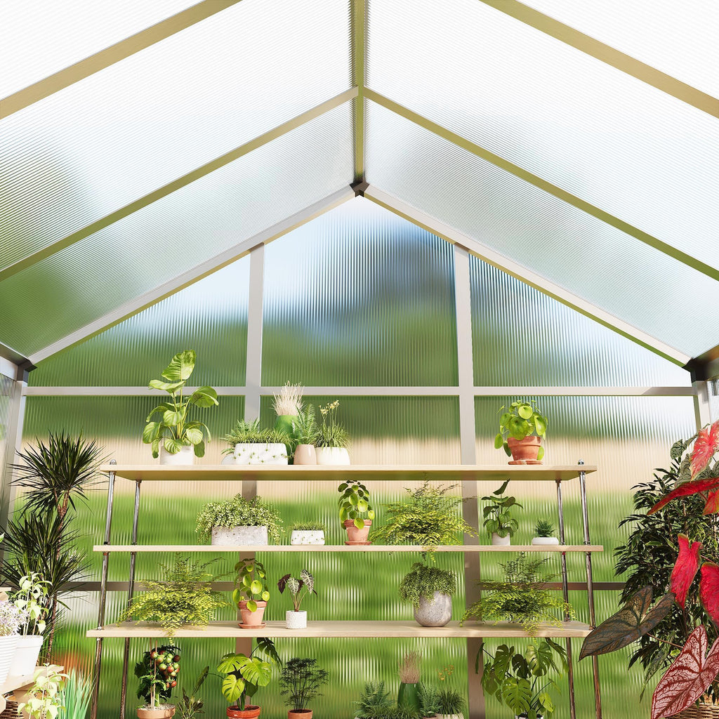 IDEALHOUSE Aluminum Polycarbonate Greenhouse (6×8 and 6×10 ft)