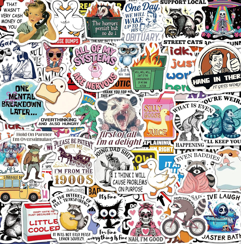 300 Pcs Funny Stickers for Adults, Sticker Pack for Water Bottle Laptop