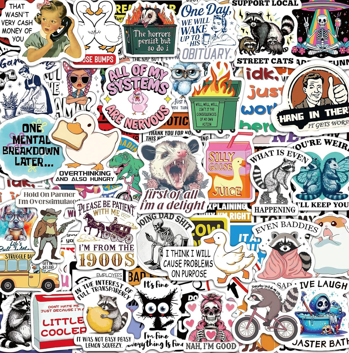 300 Pcs Funny Stickers for Adults, Sticker Pack for Water Bottle Laptop