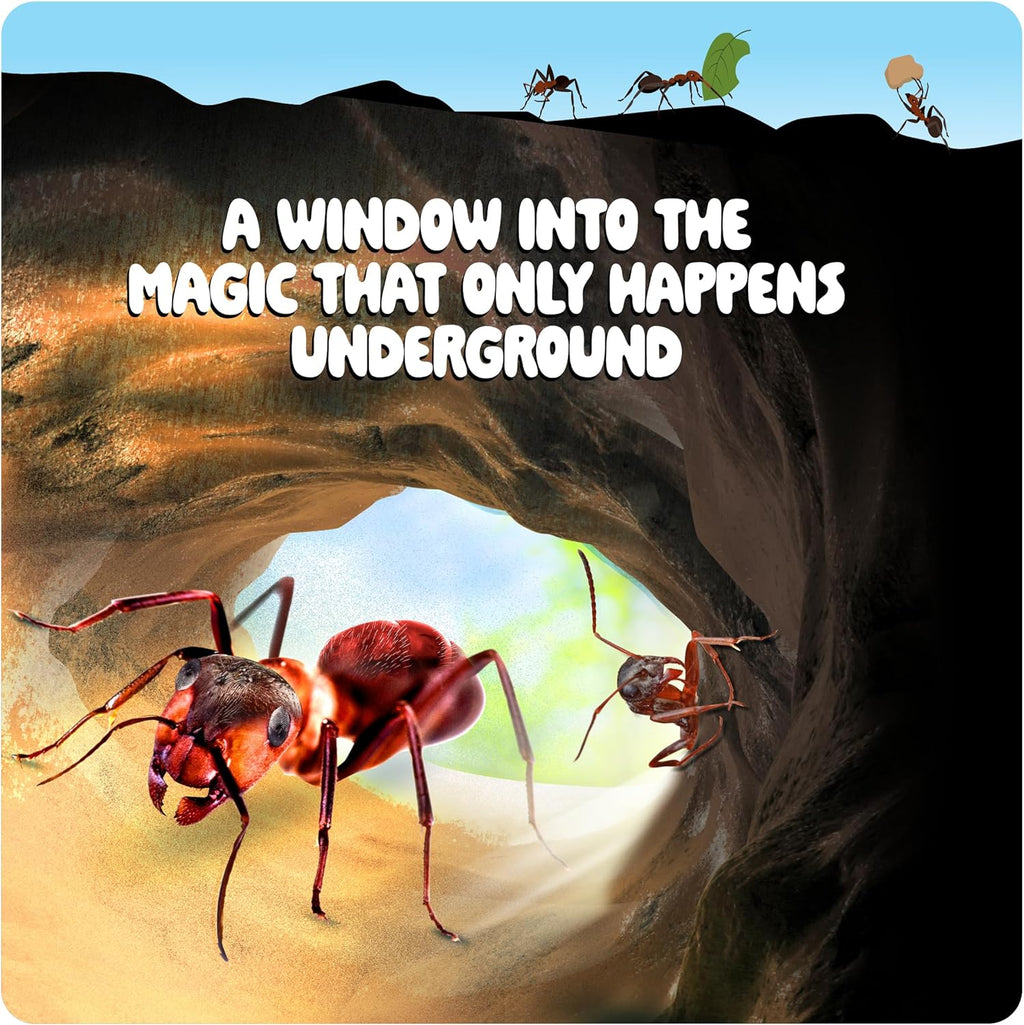 Ant Farm Kit