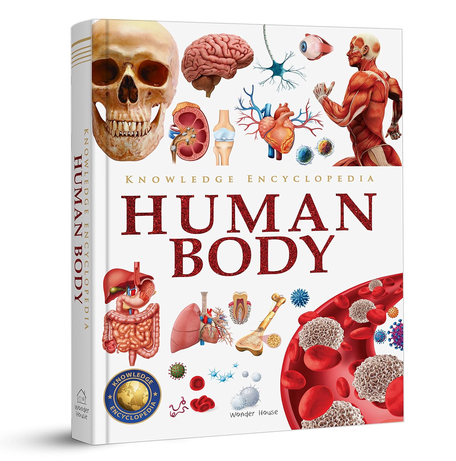 Wonder House Books: Knowledge Encyclopedia Human Body (Grades 4–8)