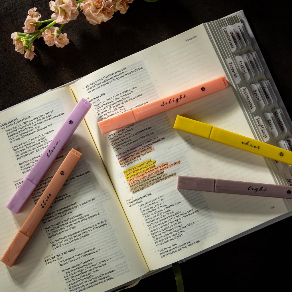 DIVERSEBEE Bible Highlighters with Soft Chisel Tip, No Bleed (Pastel)