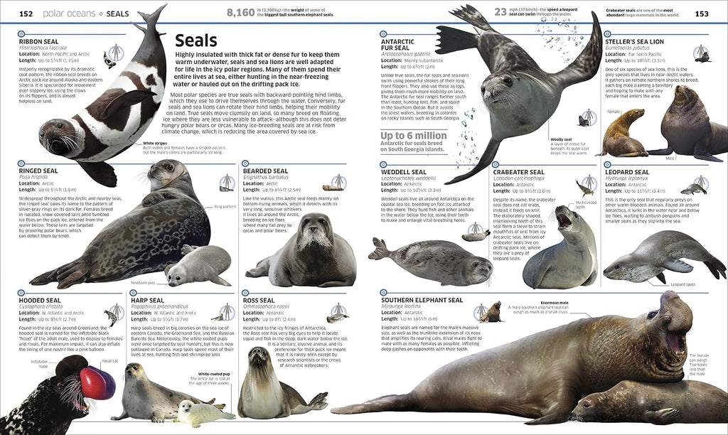 Knowledge Encyclopedia Ocean!