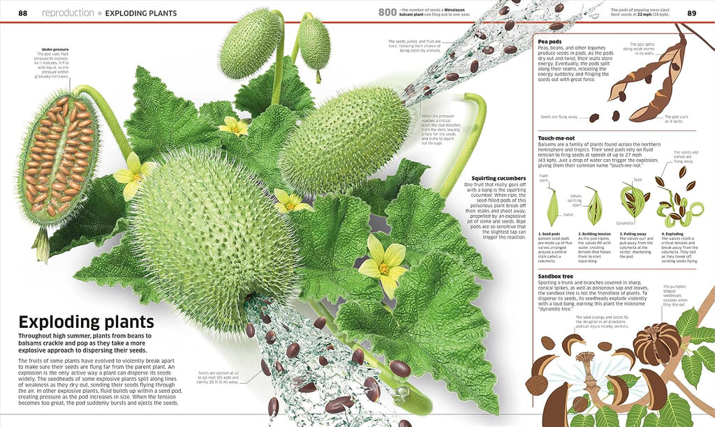 Knowledge Encyclopedia Plants and Fungi!: Our Growing World as You've Never Seen It Before