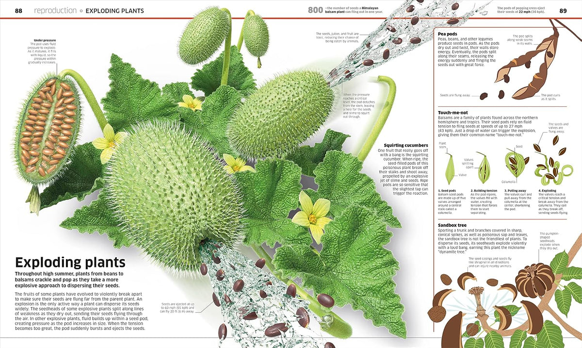 Knowledge Encyclopedia Plants and Fungi!: Our Growing World as You've Never Seen It Before