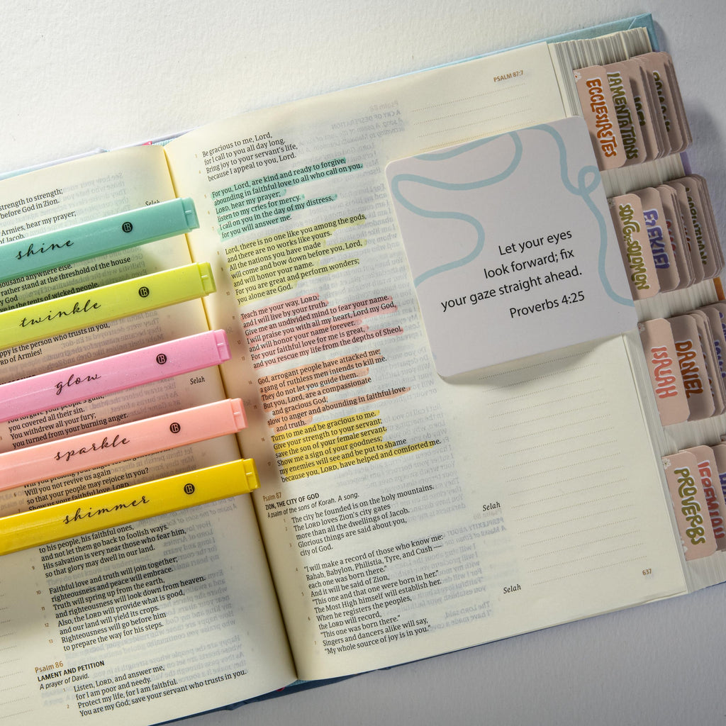 DIVERSEBEE Bible Highlighters with Soft Chisel Tip, No Bleed (Pastel)