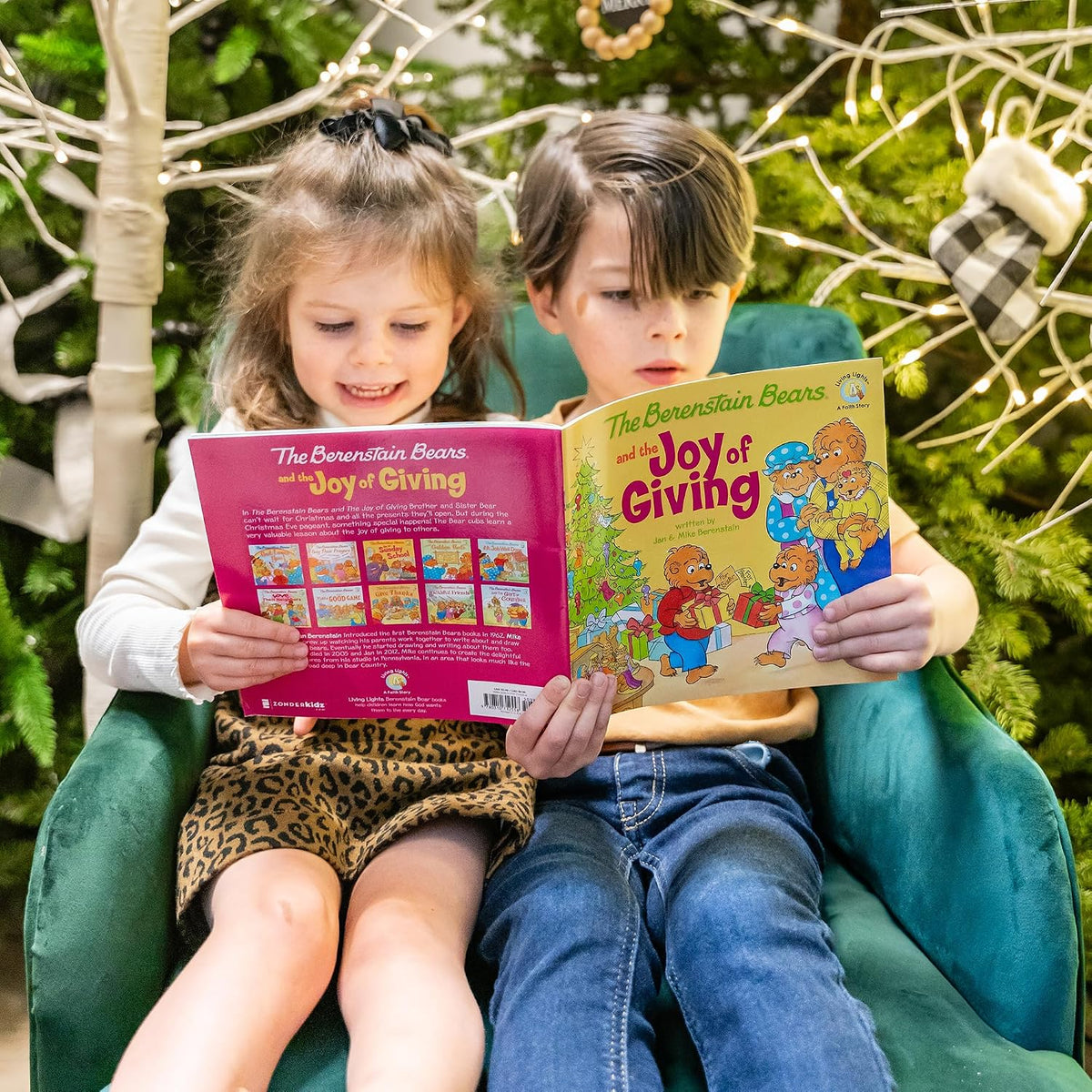 The Berenstain Bears and the Joy of Giving: The True Meaning of Christmas