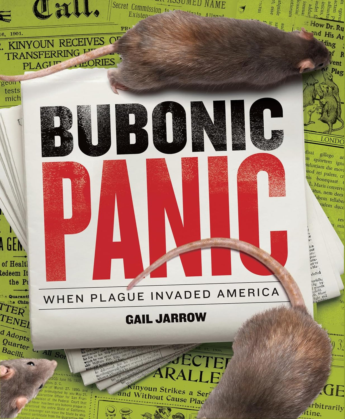 Boyds Mills Press: Bubonic Panic: When Plague Invaded America (Grades 6–12)