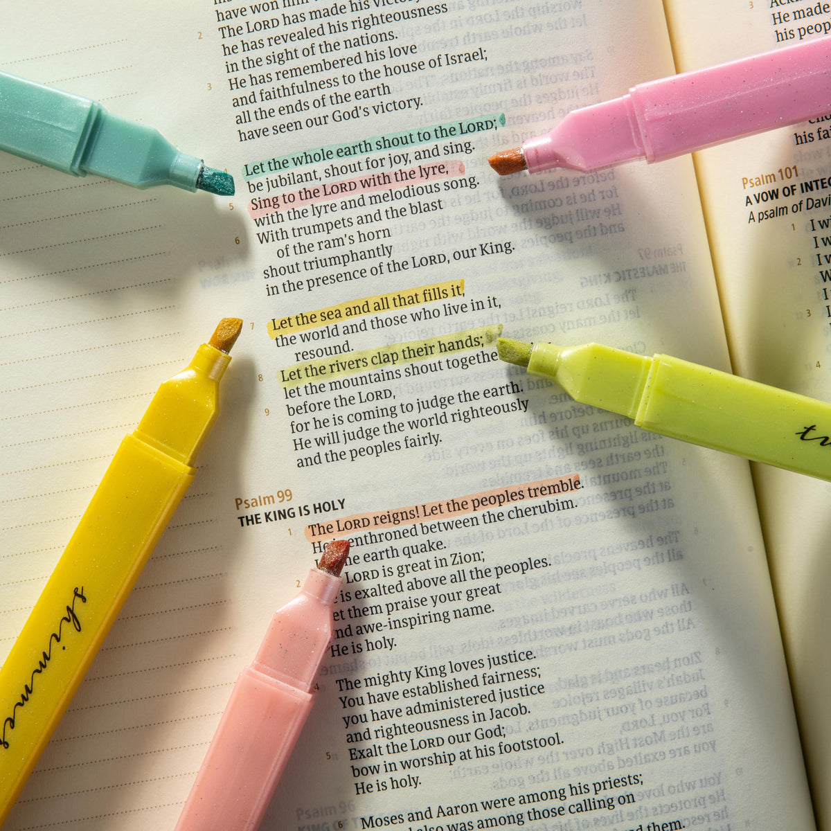 DIVERSEBEE Bible Highlighters with Soft Chisel Tip, No Bleed (Pastel)