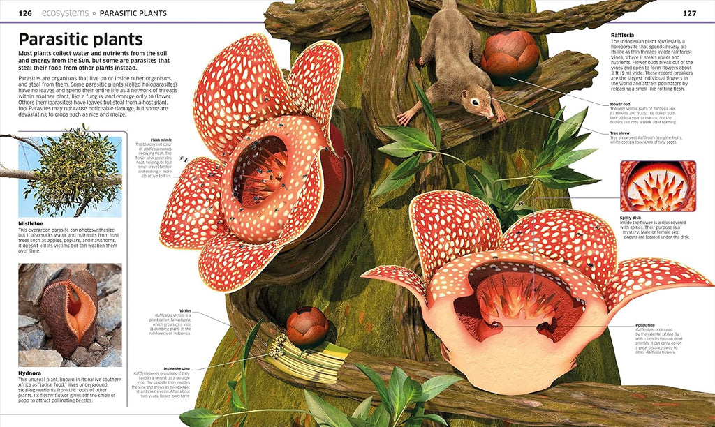 Knowledge Encyclopedia Plants and Fungi!: Our Growing World as You've Never Seen It Before