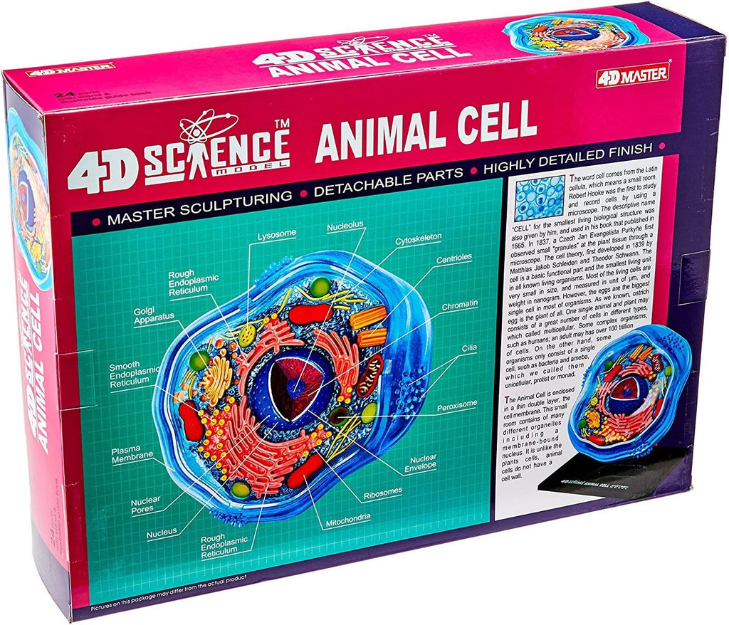 Famemaster: 4D-Science Animal Cell Anatomy Model (Ages 8+)