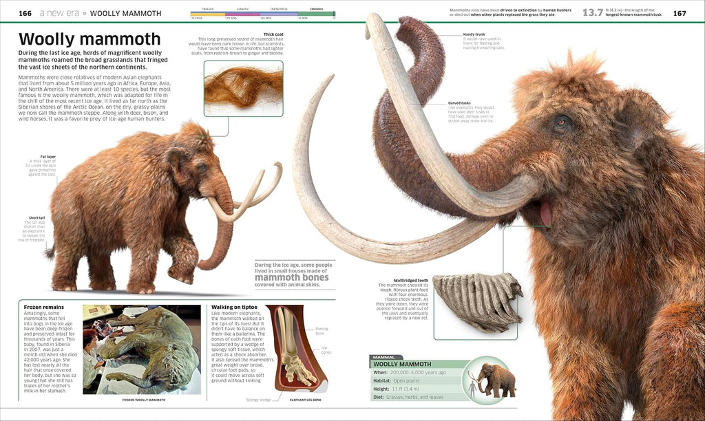 Knowledge Encyclopedia Dinosaur!