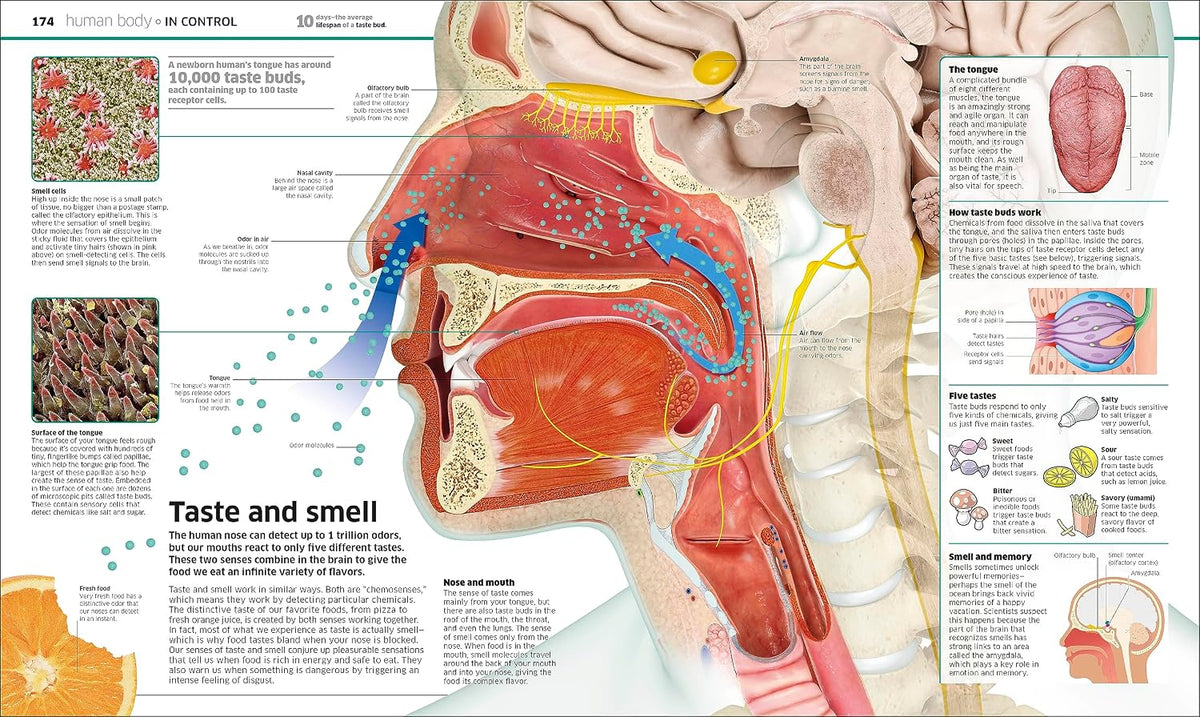 Knowledge Encyclopedia!: The World as You've Never Seen it Before