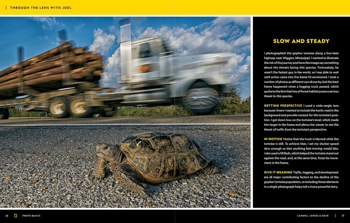 National Geographic Photo Basics: The Ultimate Beginner's Guide to Great Photography