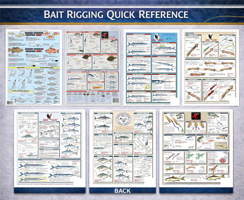 Bait Rigging Chart Set: Freshwater, Saltwater & Big Game Rigs