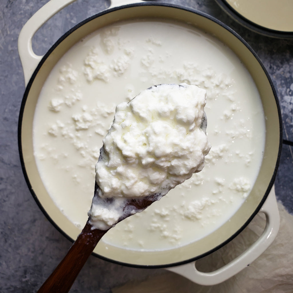 Cultures For Health Mesophilic Cheese Starter Culture, Make Your Own C