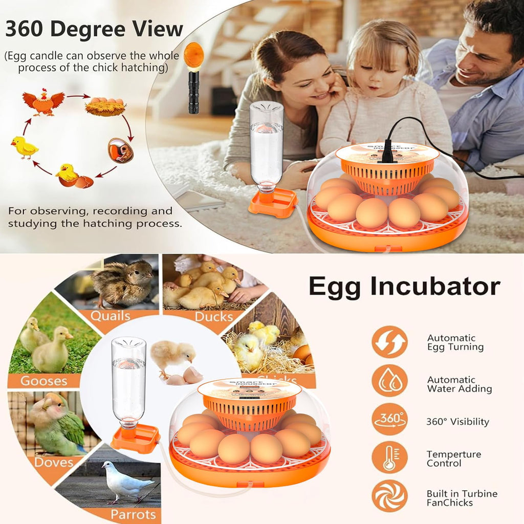 12 Egg Incubator with Automatic Egg Turning and Temperature Control, A