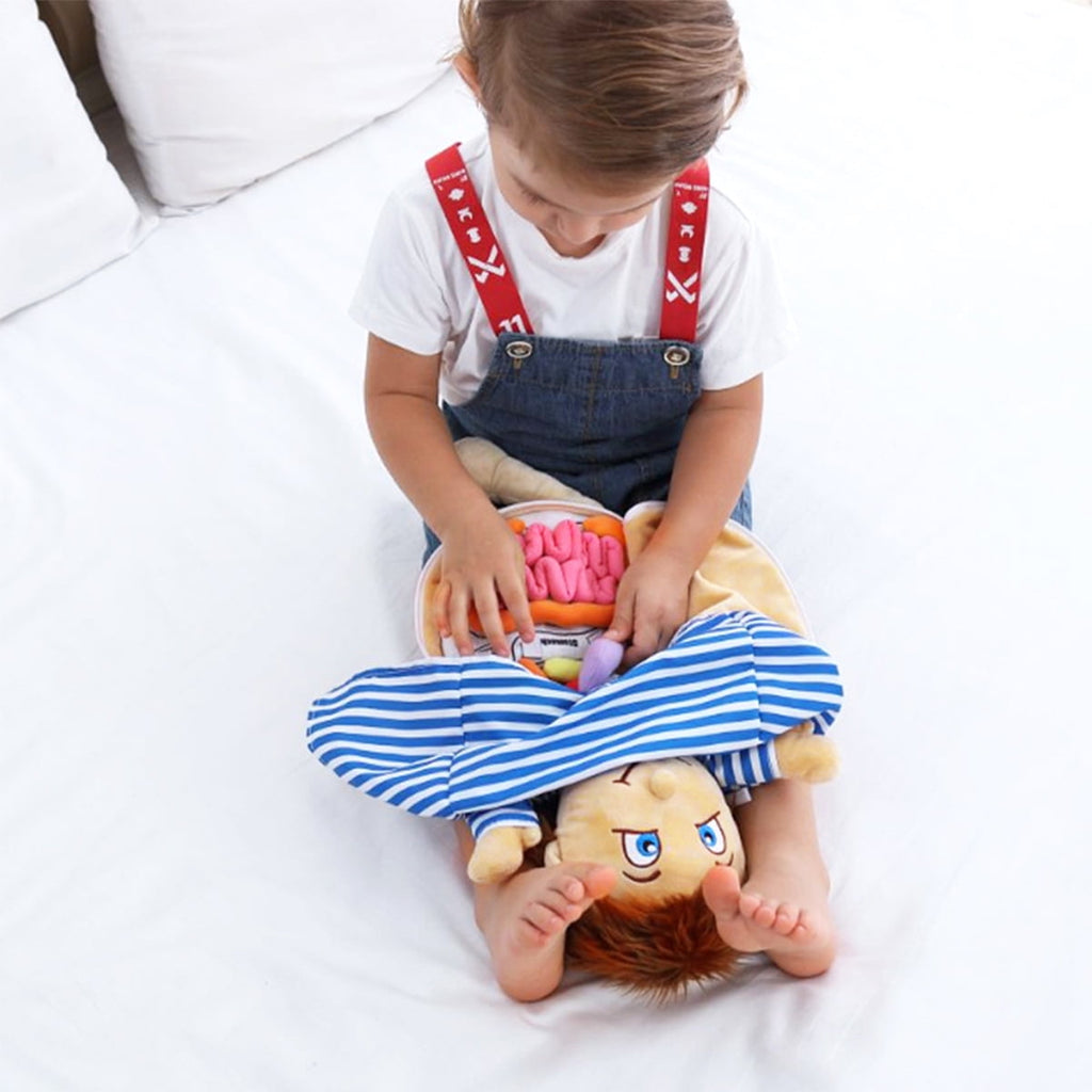 Early Education Toys Human Body Anatomy Toy Educational Science Learni