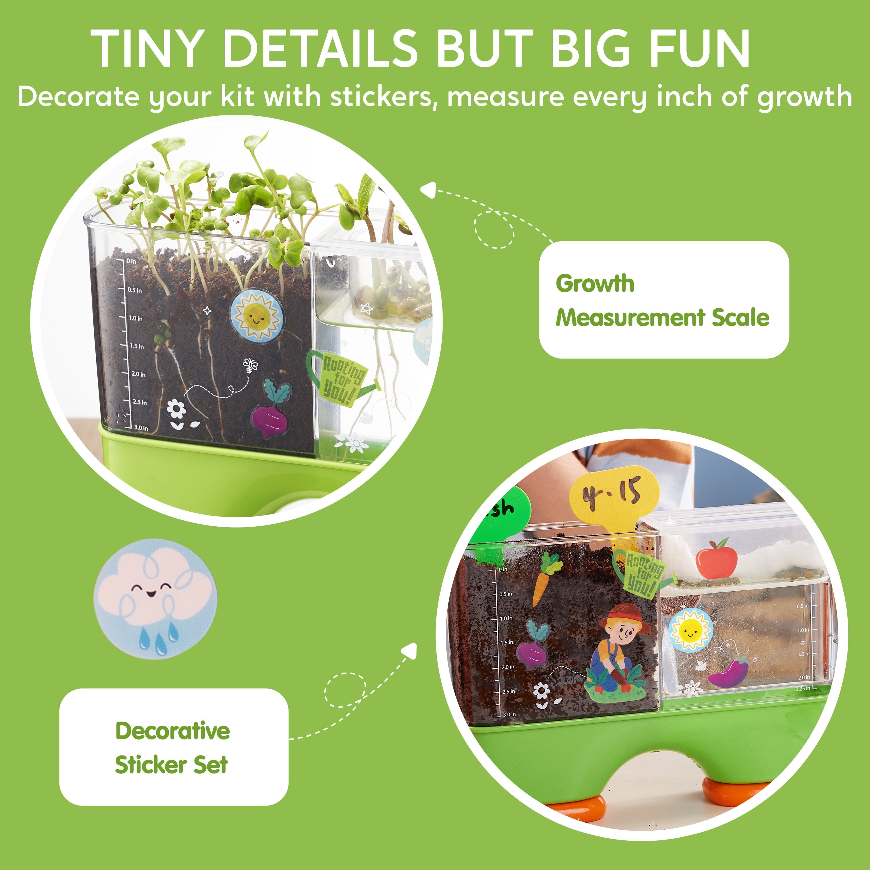 Klever Kits 2 in 1 Root Viewer Kit - Grow Your Own Plant, Educational