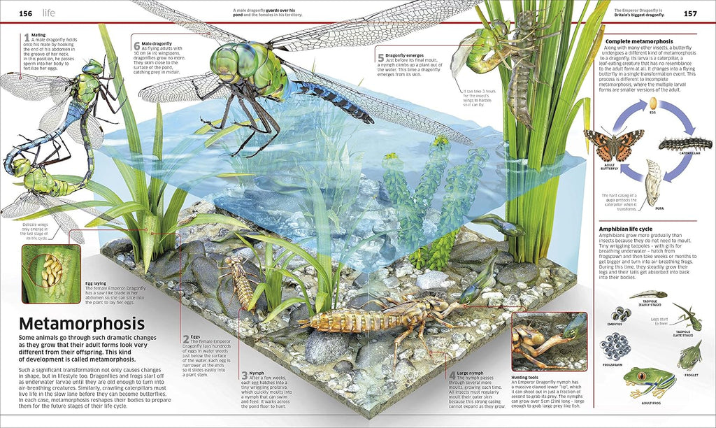Knowledge Encyclopedia Science!