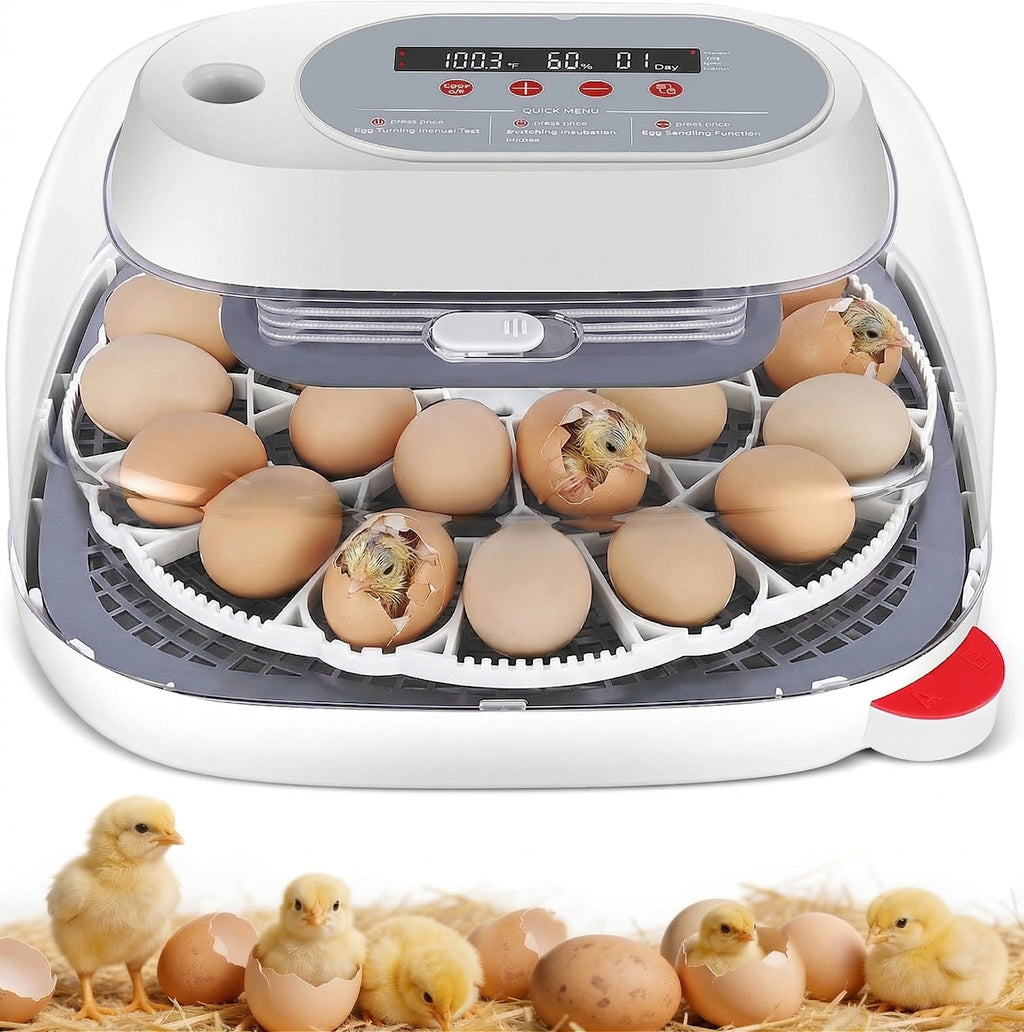 Adnoom Incubators for Hatching Eggs, 18 Egg Incubator with Automatic E