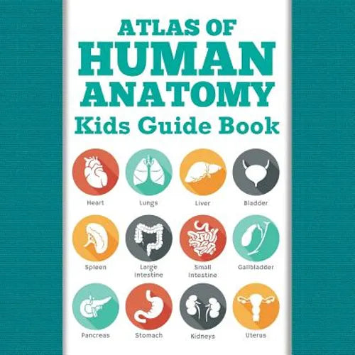 Atlas Of Human Anatomy: Kids Guide Book - Paperback