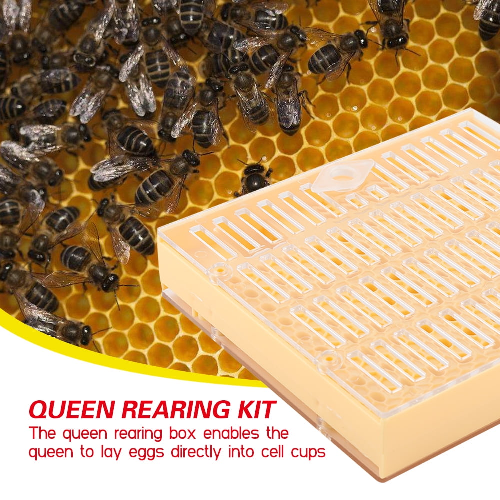 BIMZUC 155Pcs Queen Rearing Kit Bee Cultivating Tool Plastic Beekeepin