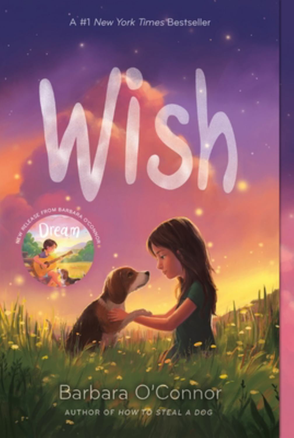Wish (Paperback)