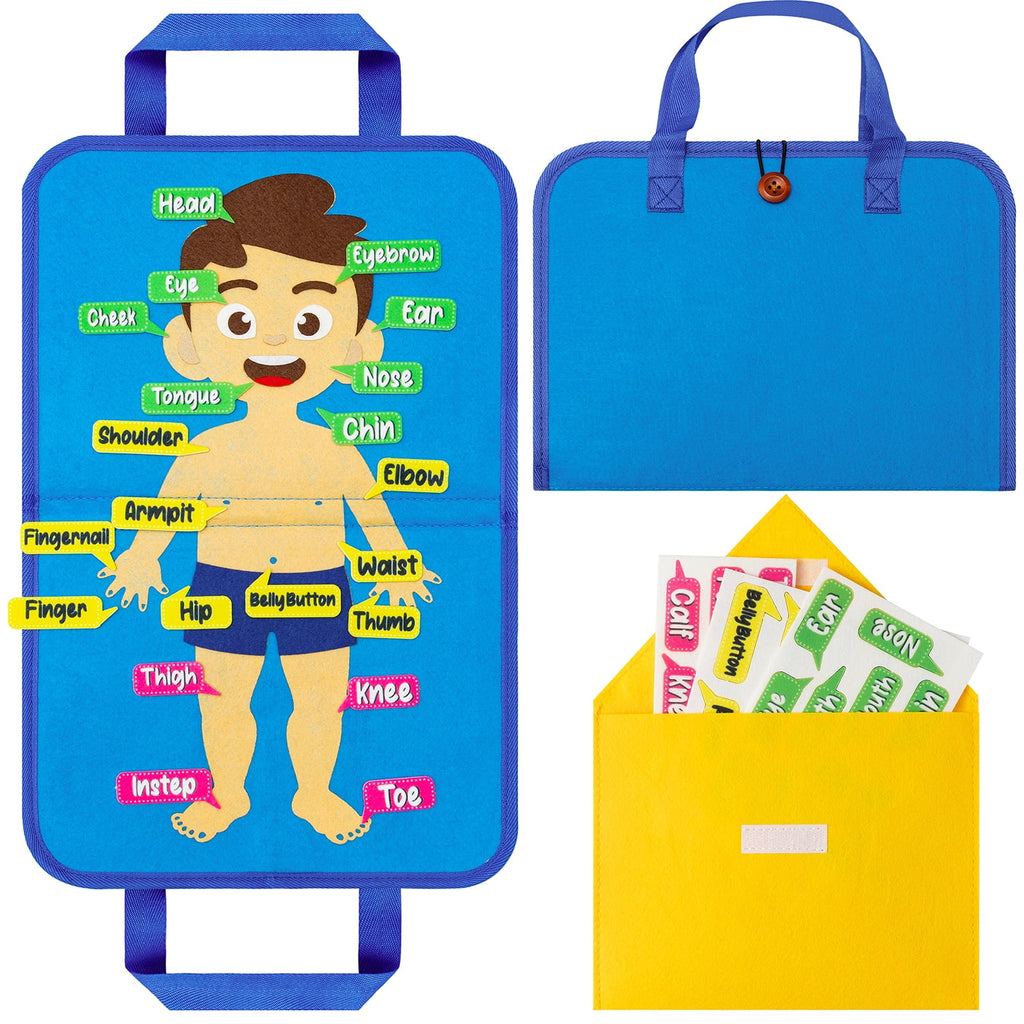 Belanttega Body Cognition Portable Felt Board Story Set Learn The Name