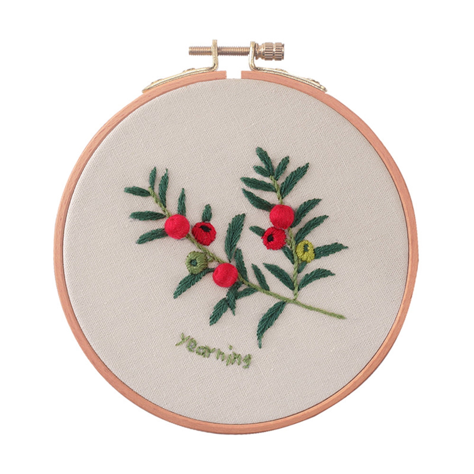 Blingpainting Floral Embroidery Kit for Beginners , Daisy Plant Patter