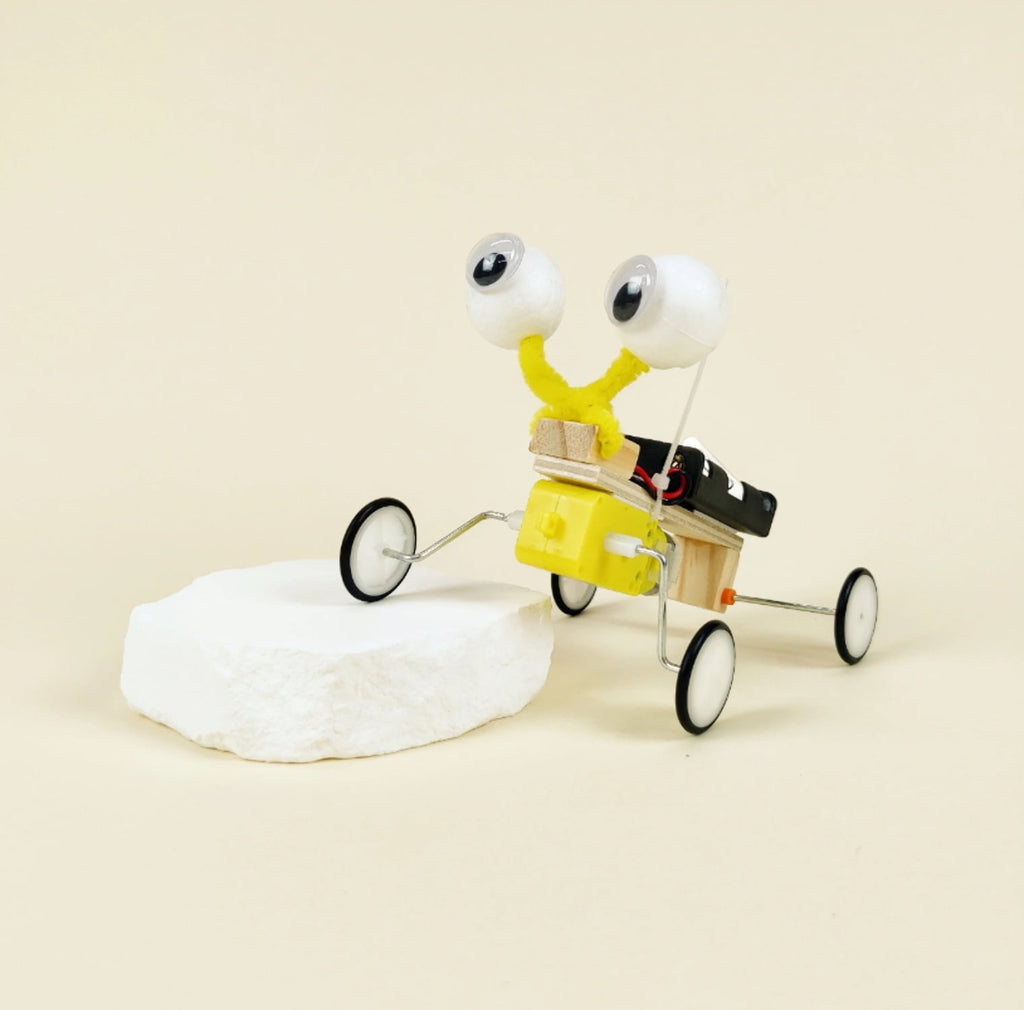 Bug Robot DIY Kit, Educational STEM Toy
