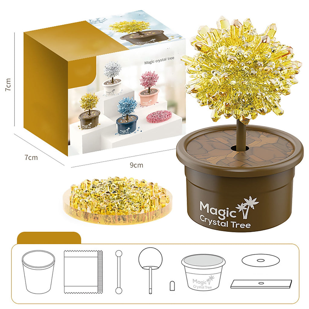 DIY Growing Kit Grow Trees in 24 Hours Educational Craft Kit with 1 co