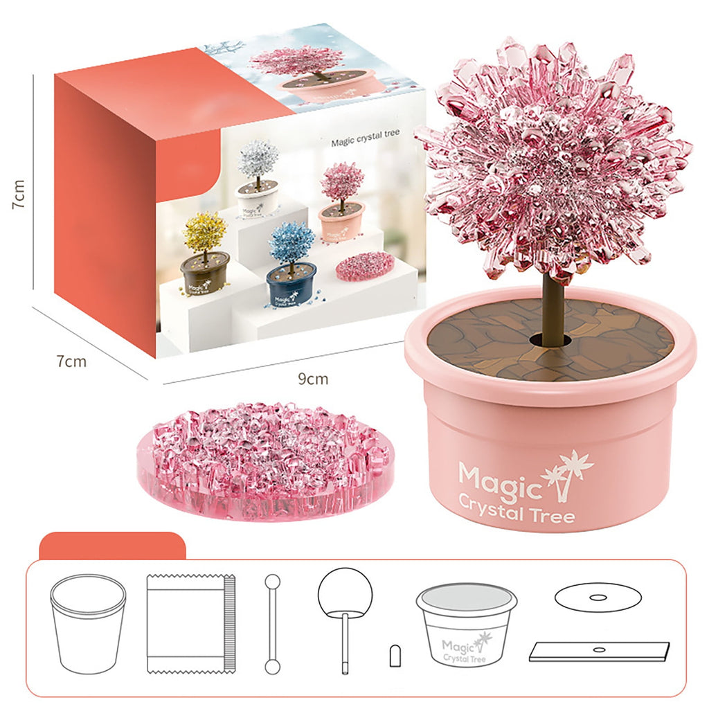DIY Growing Kit Grow Trees in 24 Hours Educational Craft Kit with 1 co