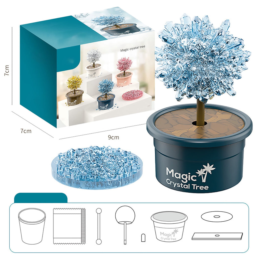 DIY Growing Kit Grow Trees in 24 Hours Educational Craft Kit with 1 co