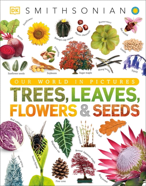DK Our World in Pictures Trees, Leaves, Flowers & Seeds: A Visual Plan